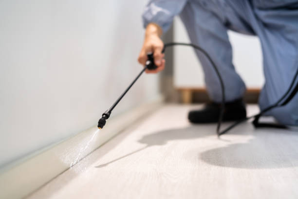 Licensed Cockroach Control service in Weleetka, OK - Nex Pest Control