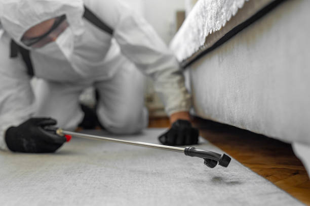 Professional Cockroach Control technician working in Weleetka, OK