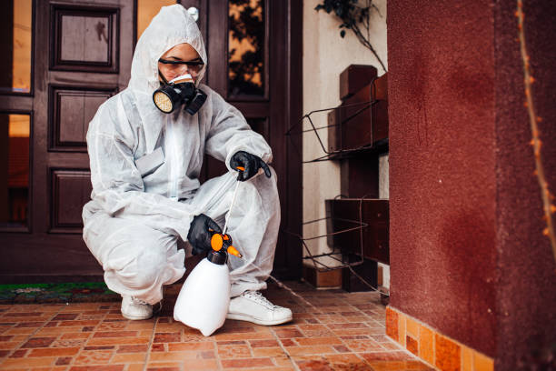 Reliable Cockroach Control contractor in Weleetka, OK by Nex Pest Control