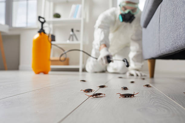 Trusted Emergency Pest Control service in Weleetka, OK - Nex Pest Control