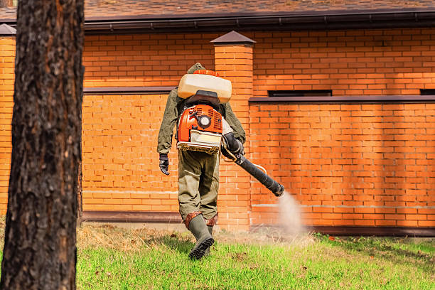 Trusted Cockroach Control service in Weleetka, OK - Nex Pest Control